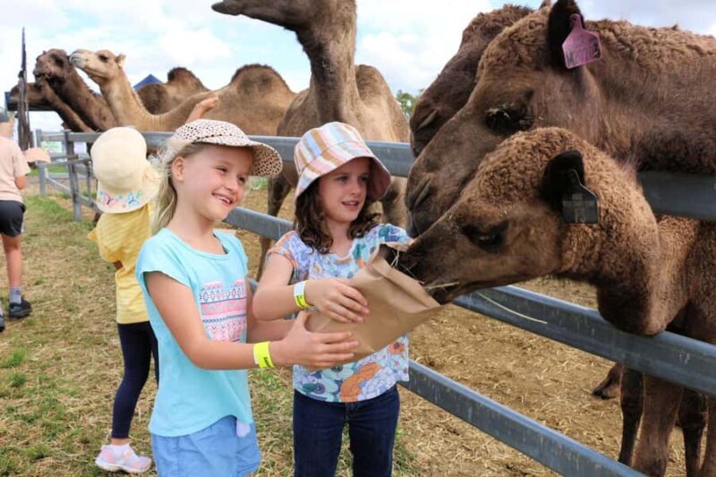 Harrisville: Summer Land Camel Farm Tour with Tasting - Pricing & Value