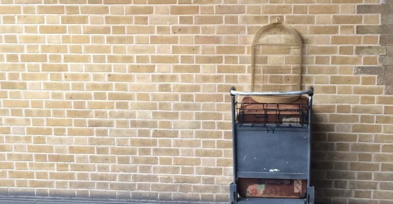 Harry Potter Private Tour of London in Spanish - Exploring the Harry Potter Private Tour of London in Spanish