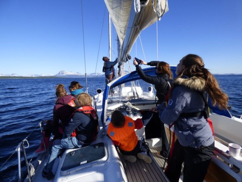 Harstad: Fjordcruise sailing with skipper - Who Will Love This Tour?