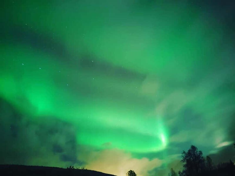 Harstad/Narvik: Northern Lights Tours with second day chance - In The Sum Up