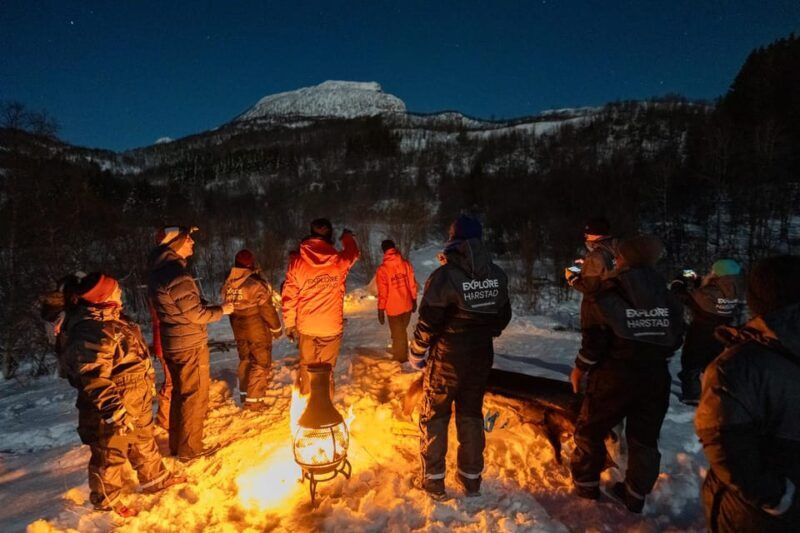 Harstad: Northern Lights Hunt on Hinnøya Island - The Review of Past Experiences