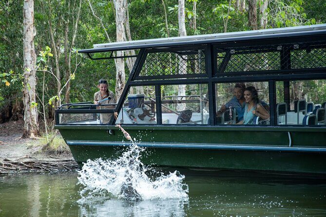 Hartley Crocodile Park with Kuranda, Skyrail Cableway and Train - Discovering Kuranda Village: Markets, Galleries & Wildlife