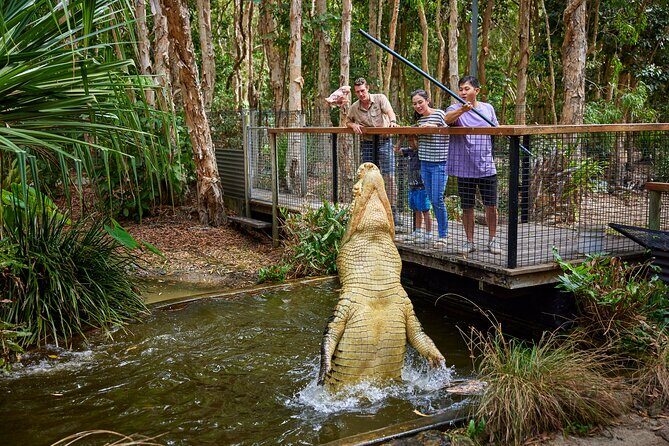 Hartley Crocodile Park with Kuranda, Skyrail Cableway and Train - Return to Port Douglas