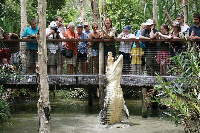 Hartleys Crocodile Adventures Half-Day Tour from Cairns - Introduction
