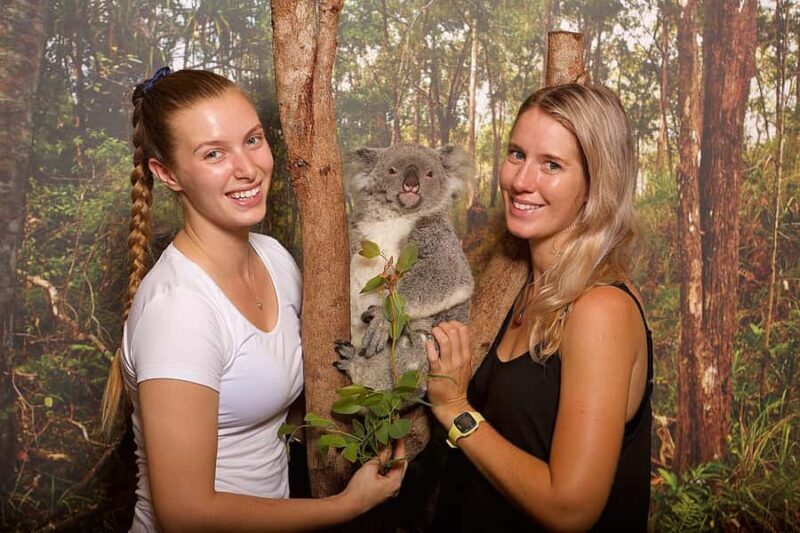 Hartley's Crocodile Adventures: Hartley's Koala Breakfast - An In-Depth Look at Hartleys Koala Breakfast Experience