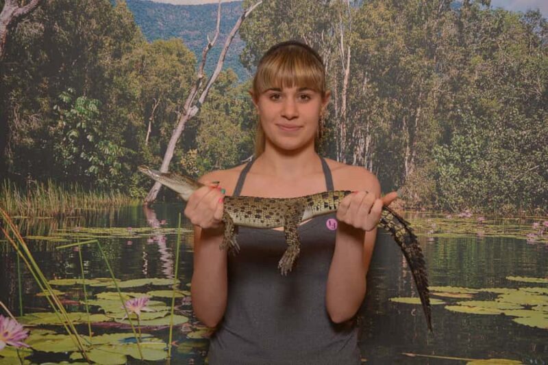 Hartley's Crocodile Adventures Park Entry - Exploring the Exhibits