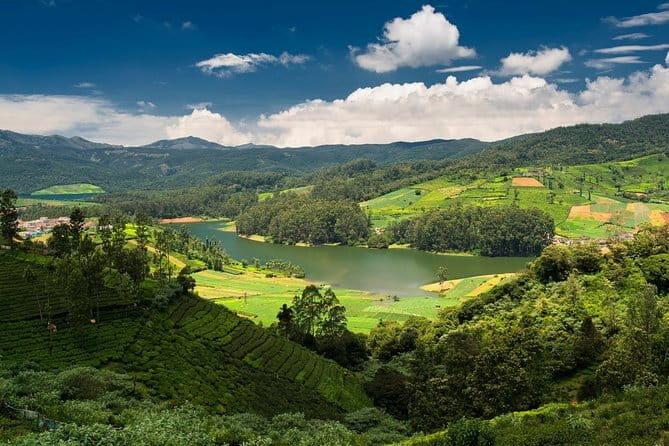 Harvest Harmony Pongal Festivity at the Farm - Who Should Consider This Tour?