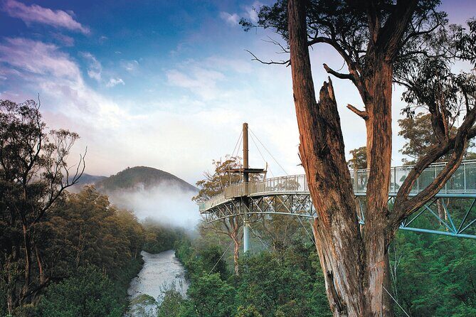 Hastings Caves, Tahune Airwalk and the Huon Tasting Trail - The Itinerary and What It Means for You