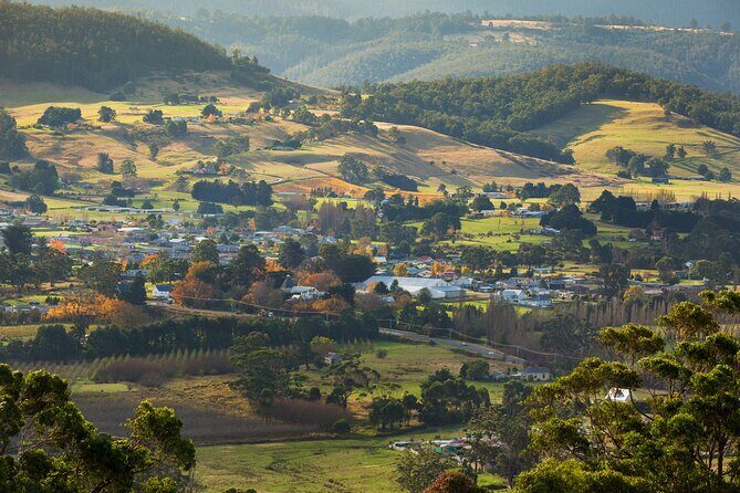 Hastings Caves, Tahune Airwalk and the Huon Tasting Trail - What Travelers Are Saying