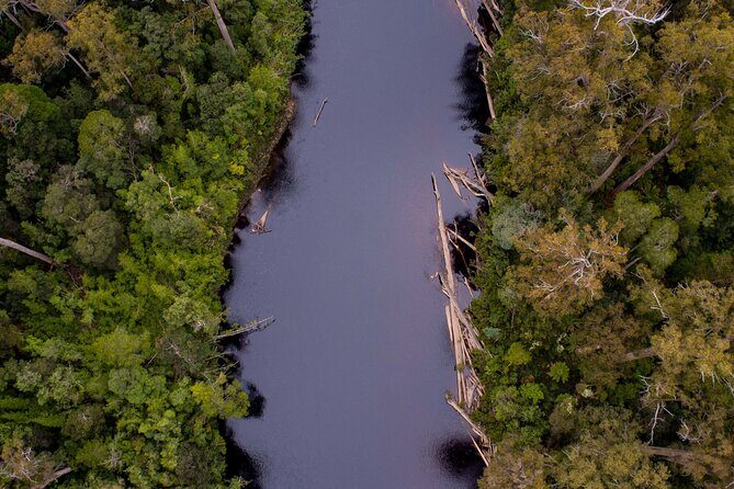 Hastings Caves, Tahune Airwalk and the Huon Tasting Trail - Final Thoughts
