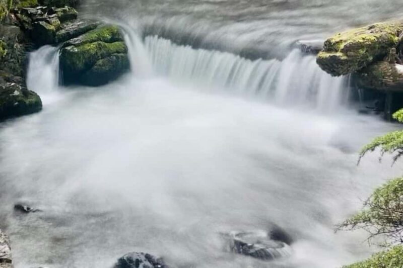 Hatcher Pass & Reindeer Adventure Tour Anchorage Pickup - Authenticity, Comfort, and Connection