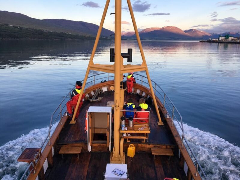 Hauganes: Whale Watching North Iceland - The Sum Up