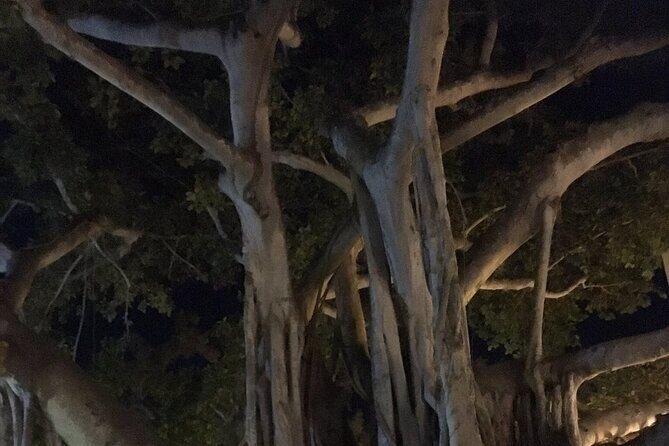 Haunted History of Fort Myers Walking Tour - FAQ