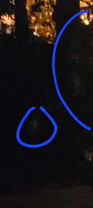 Haunted St. Augustine Semi-Private Paranormal Investigation - An In-Depth Look at the Haunted St. Augustine Paranormal Tour