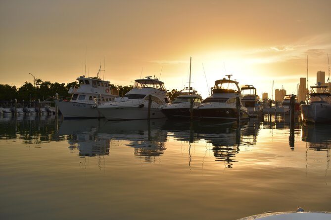 Have the best time in Miami aboard our SeaRay - Who Is This Tour Best For?