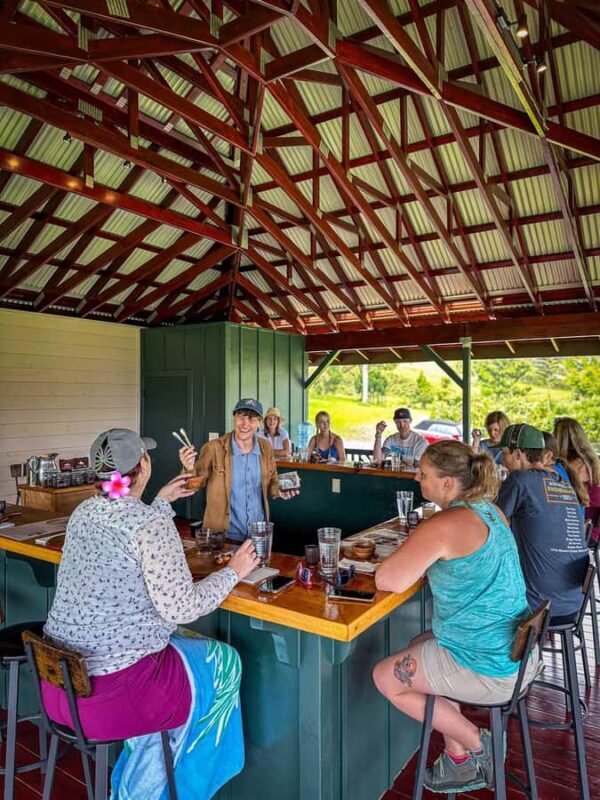 Hawaii: 10 Bar Chocolate Tasting & History of Chocolate - Starting Point: Scenic Journey to the Farm