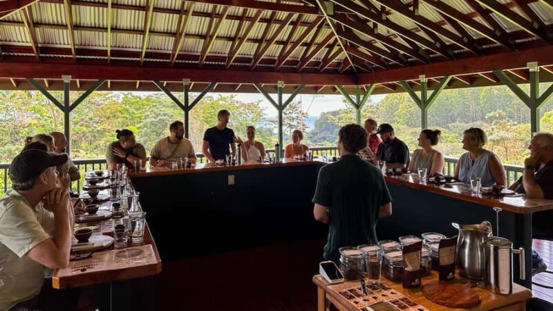 Hawaii: 10 Bar Chocolate Tasting & History of Chocolate - Price and Value