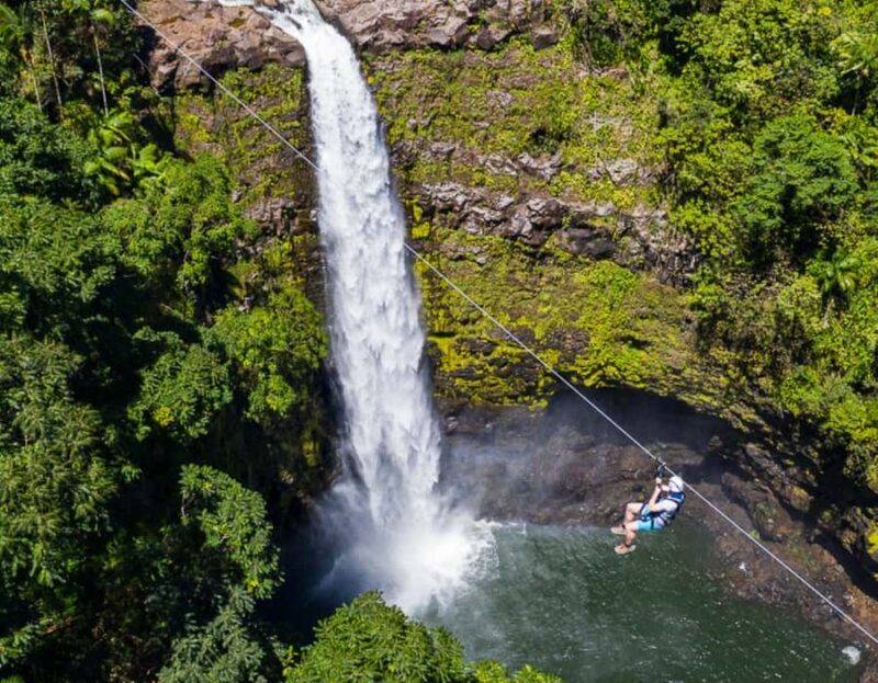 Hawaii: Big Island Hilo Zipline Tour with Cruise Ship Pickup - The Itinerary in Detail