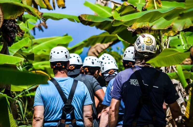 Hawaii: Big Island Hilo Zipline Tour with Cruise Ship Pickup - The Experience from Reviews