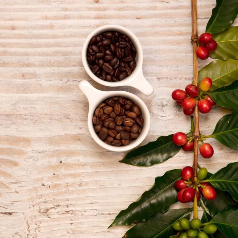 Hawaii Hala Tree Coffee: Coffee Cupping Workshop - How to Find the Farm and What to Expect Upon Arrival