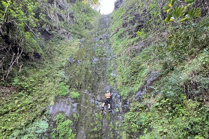 Hawaii Oahu Canyon Rappel & Hike Expedition Tour - Is This Tour Worth It?