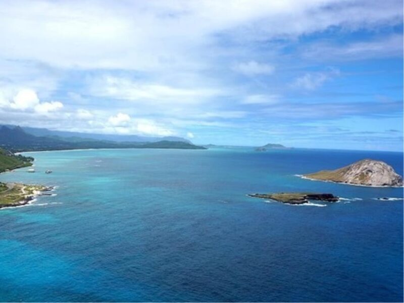 Hawaii : Oahu Island Sightseeing and Food Combo Tour - Final Thoughts