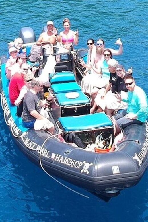 Hawai'i: Private Snorkeling Tour with Lunch and Drinks - The Value of a Private, Tailored Tour