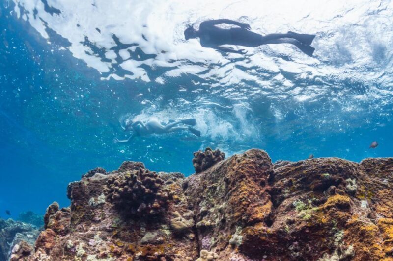 Hawaii: Pu'uhonua O Honaunau & Kealakekua Bay Snorkel Tour - What’s Included and What to Bring
