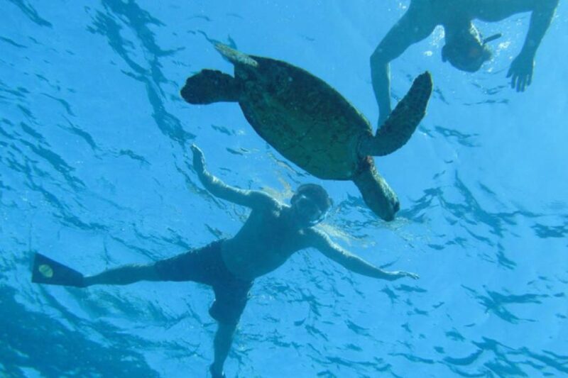 Hawaii: Pu'uhonua O Honaunau & Kealakekua Bay Snorkel Tour - Who Will Enjoy This Tour?