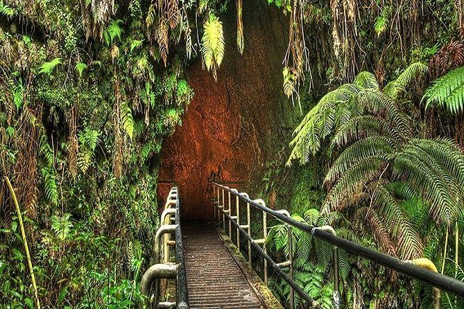 Hawaii Volcanoes National Park Experience from Kauai - Exploring the Big Island’s Highlights