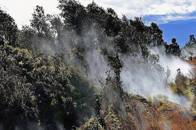 Hawaii Volcanoes National Park Experience from Maui - The Detailed Breakdown of the Tour