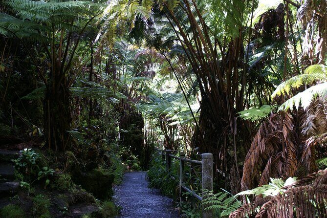 Hawaii Volcanoes National Park Experience from Maui - Who Should Consider This Tour?