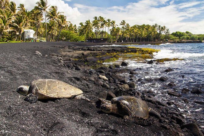 Hawaii Volcanoes National Park Experience From the Big Island - Key Points