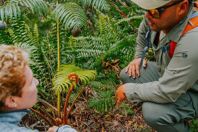 Hawaii Volcanoes National Park Hiking Small Group Adventure - Final Thoughts