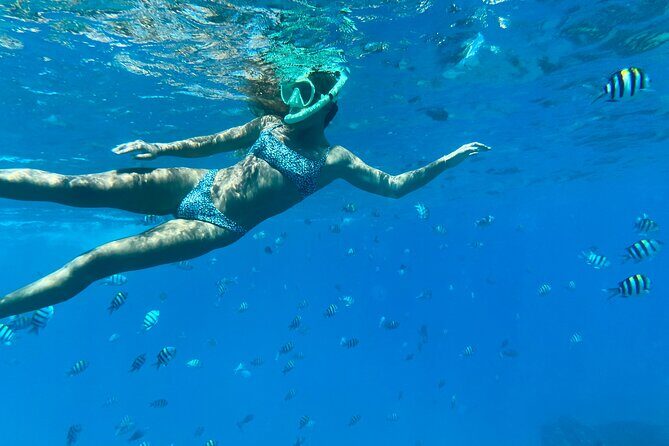 Hawaiian Culture & Snorkel Adventure with Photo/Videos - What You Can Expect from This Snorkel Tour