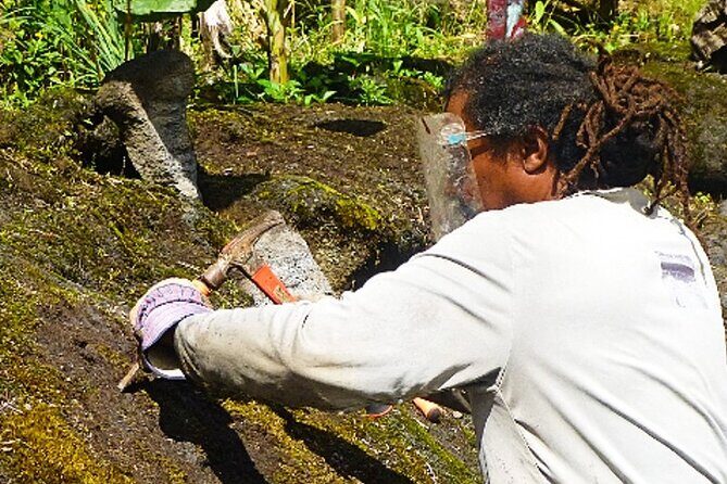 Hawaiian Ohia Tea and Tikis - An In-Depth Look at the Hawaiian Ohia Tea and Tikis Experience