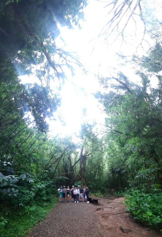 Hawaiian Waterfall Hike - Key Points