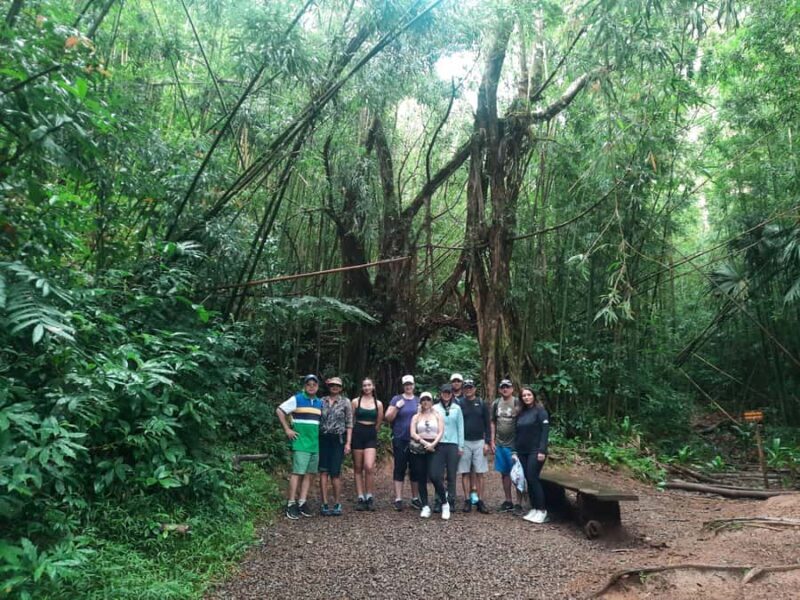 Hawaiian Waterfall Hike - Starting Point and Logistics