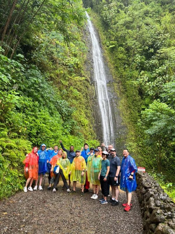 Hawaiian Waterfall Hike - Highlights of the Experience