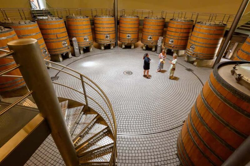 Hawkes Bay: Half-Day Wine Tour with Tastings and Cheeseboard - Authentic Experiences and Guest Feedback