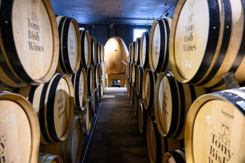 Hawkes Bay: Half-Day Wine Tour with Tastings and Cheeseboard - The Sum Up