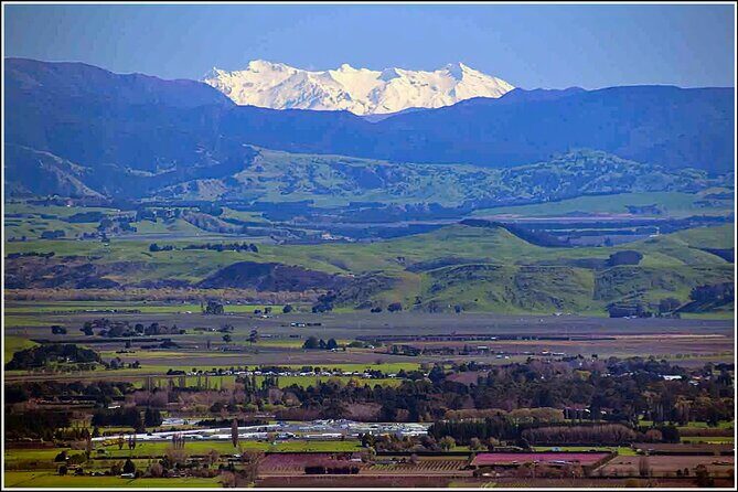 Hawkes Bay - Scenic, luncheon, wine Tour - Transportation, Group Size, and Value