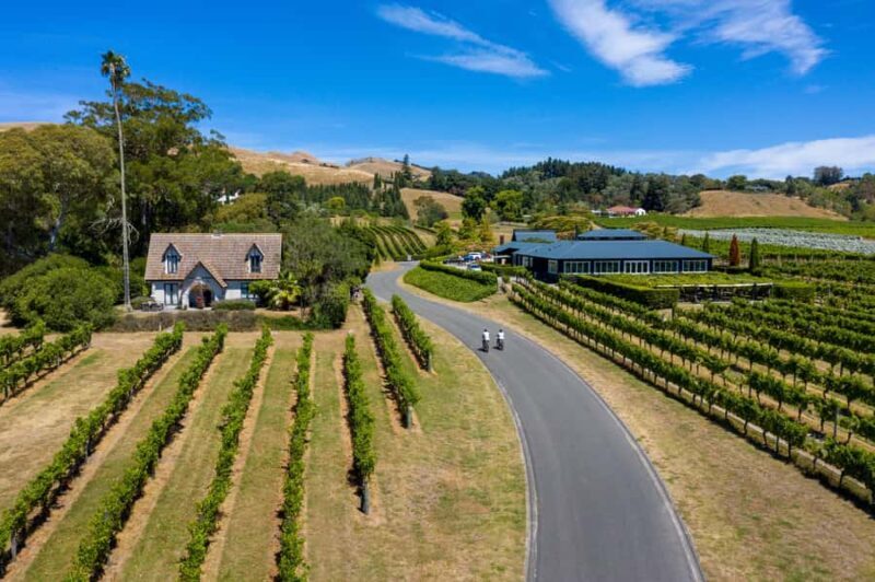 Hawke's Bay: Self Guided Coast to Vineyards Cycle Tour - Authentic Experiences and Real Traveler Insights