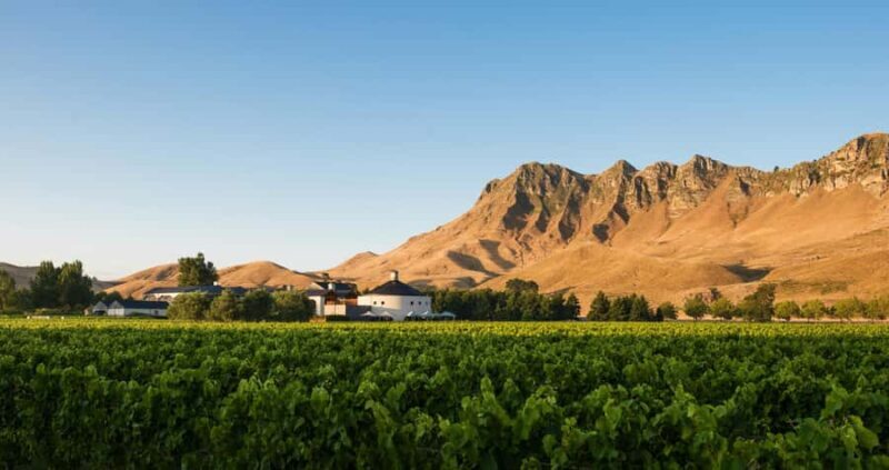 Hawke's Bay: Self Guided Coast to Vineyards Cycle Tour - The Value of This Experience