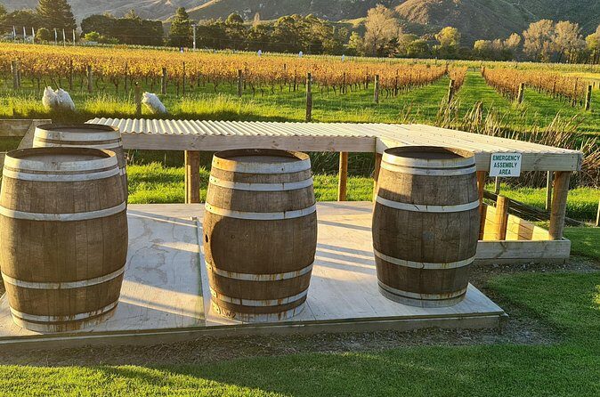 Hawkes Bay Wine Tour: Explore NZ's Great Wine Capital - Authentic, Friendly, and Informative