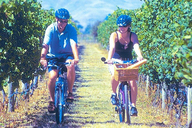 Hawkes Bay Wineries Self-Guided Bike Tour - An Authentic Day in Hawke’s Bay — What’s in Store