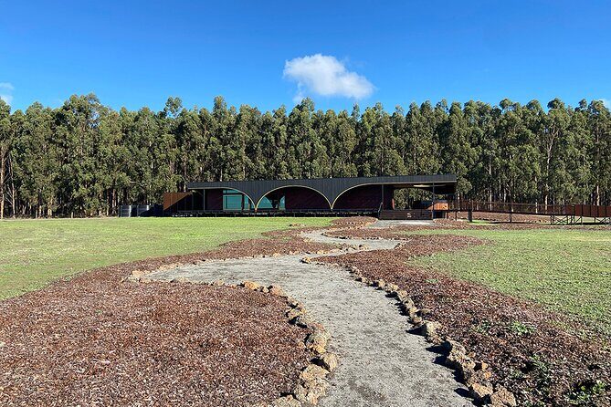 Hawkes Bay Wineries Self-Guided Bike Tour - Cost and Value Analysis