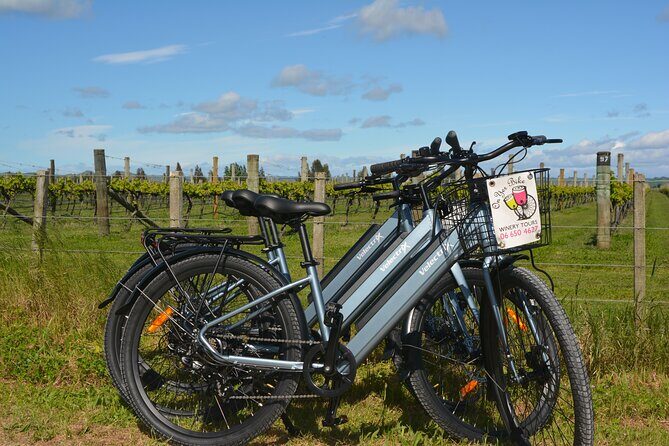 Hawkes Bay Wineries Self-Guided Electric Bike Tour - Key Points