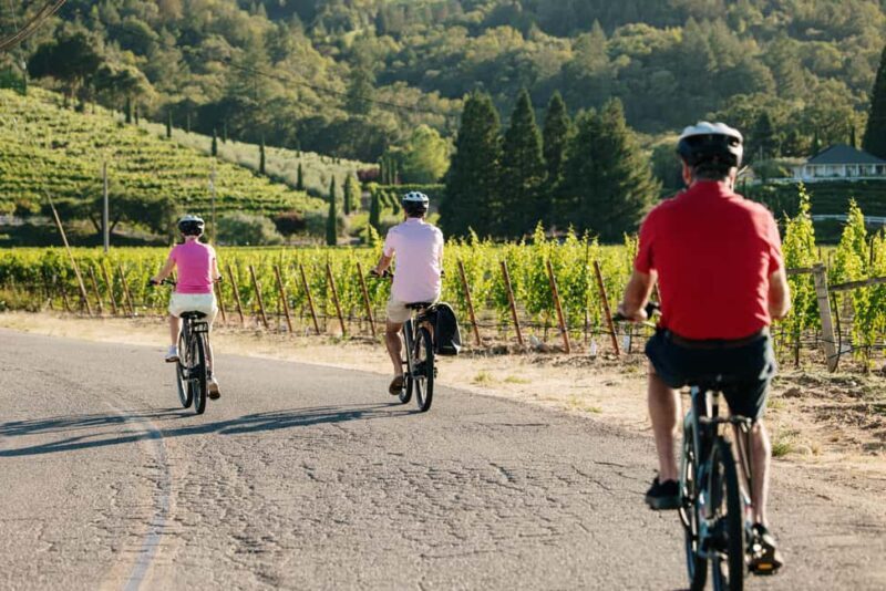 Healdsburg: Guided Electric Bike Wine Tour with Winery Stops - Final Thoughts