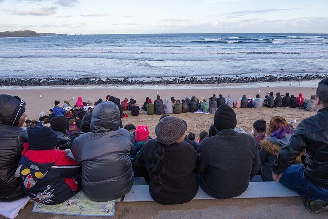 Healesville Sanctuary And Phillip Island Wildlife Bus Tour - Who Will Love This Tour?